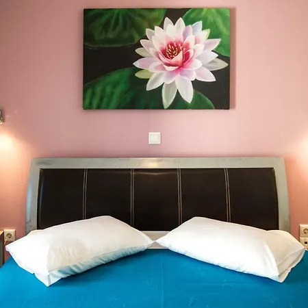 Sophia Central Loft & * Argostoli (Kefalonia)